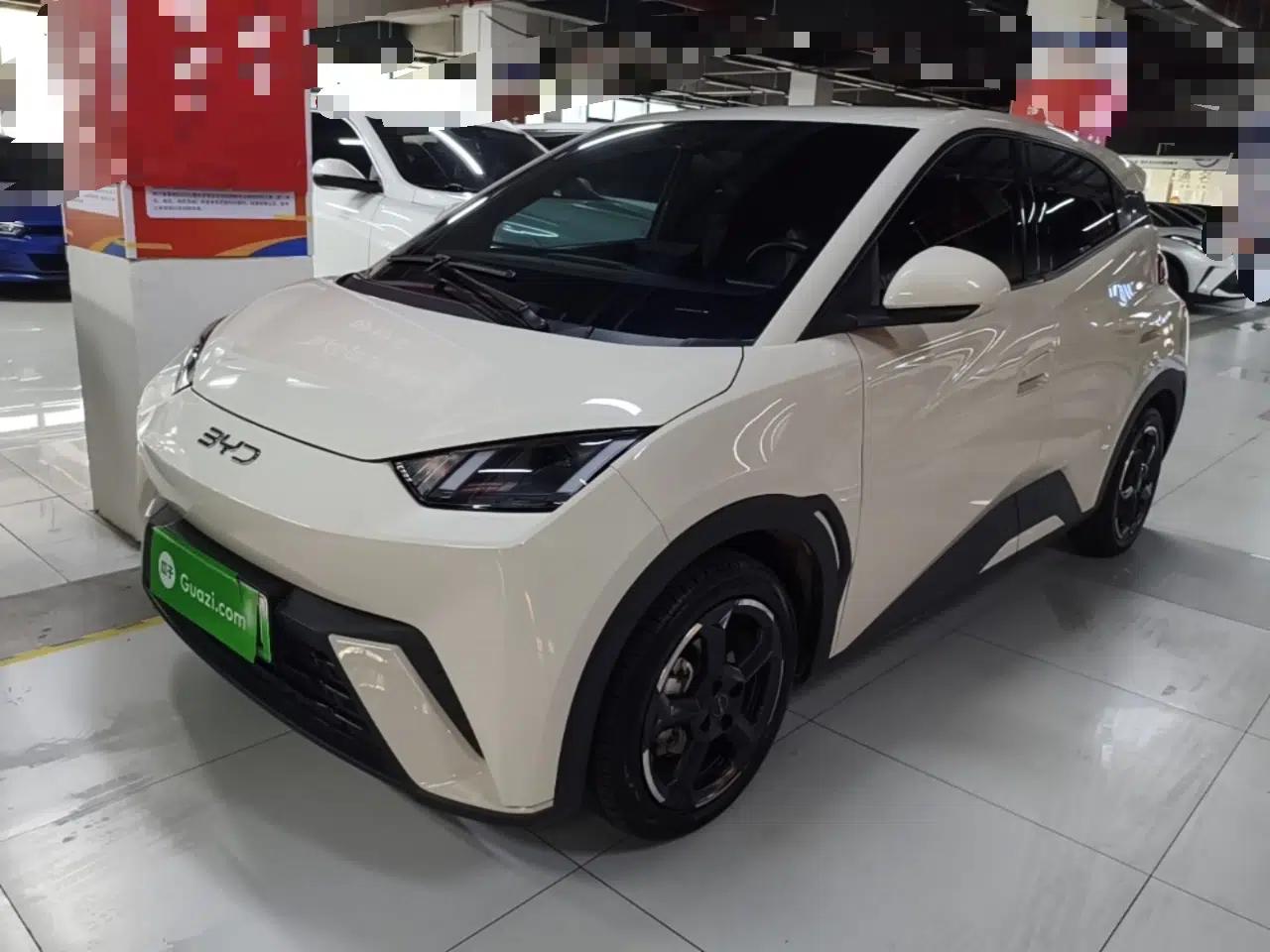 BYD Seagull 2024 Honor Edition 405km Flying Version — миниатюра 1