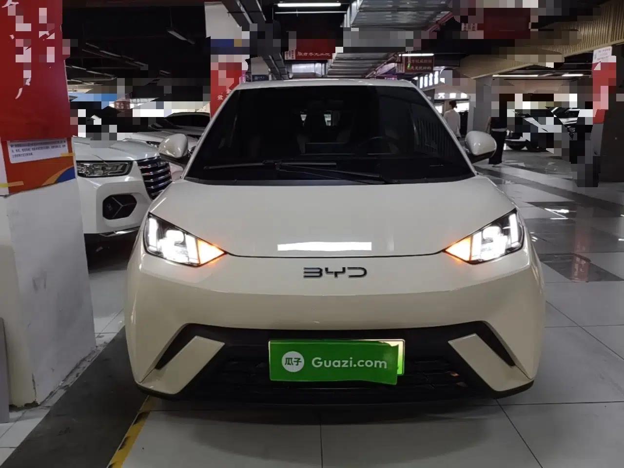 BYD Seagull 2024 Honor Edition 405km Flying Version — миниатюра 2