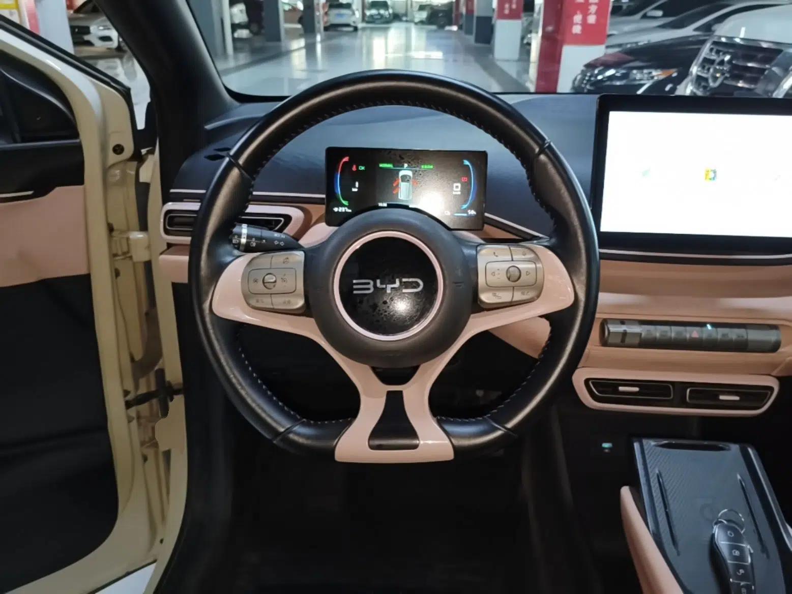 BYD Seagull 2024 Honor Edition 405km Flying Version — миниатюра 13