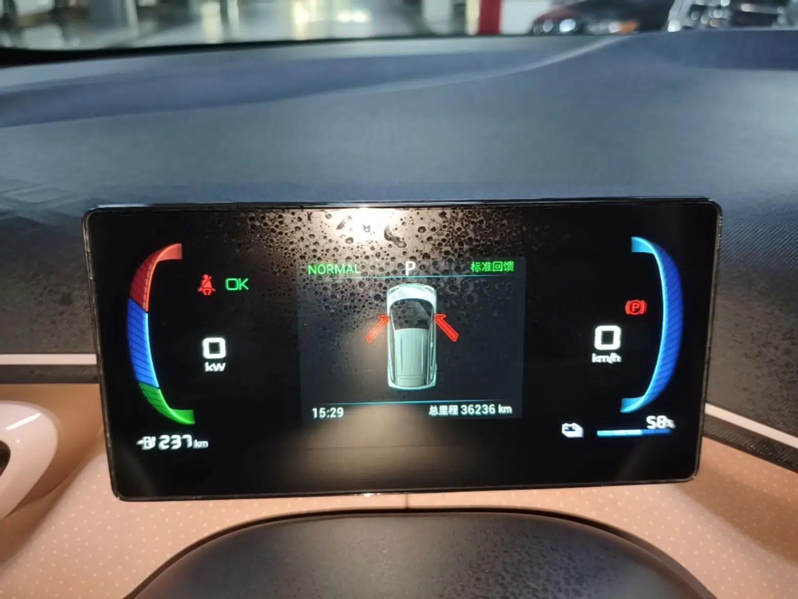 BYD Seagull 2024 Honor Edition 405km Flying Version — миниатюра 14