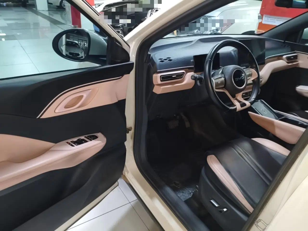 BYD Seagull 2024 Honor Edition 405km Flying Version — миниатюра 18