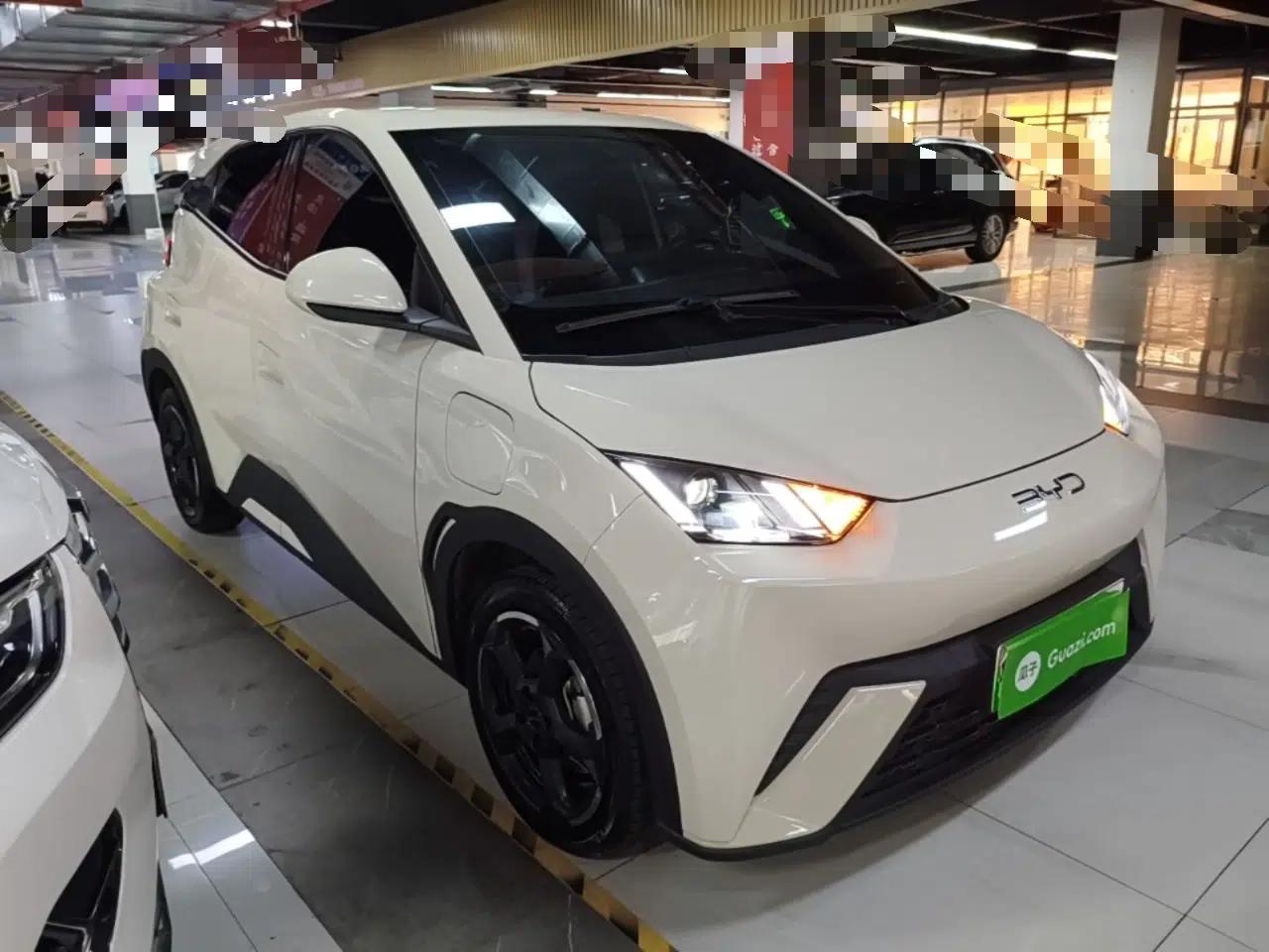 BYD Seagull 2024 Honor Edition 405km Flying Version — миниатюра 3