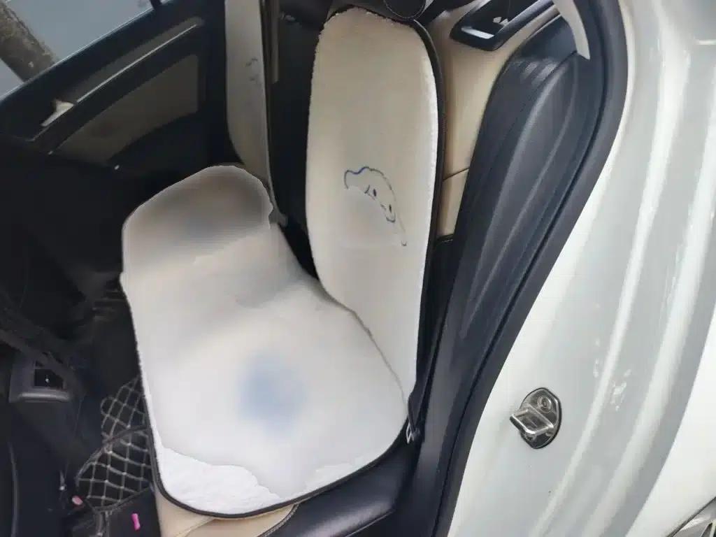 2017 Golf 230TSI Automatic Luxury Millionth Edition — миниатюра 13