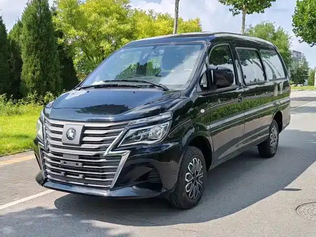 Lingzhi New Energy 2025 Model, 110km Range Extended, Basic 5-Seater