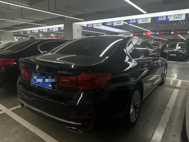 BMW 5 Series 2020 530Li Luxury Package — миниатюра 6