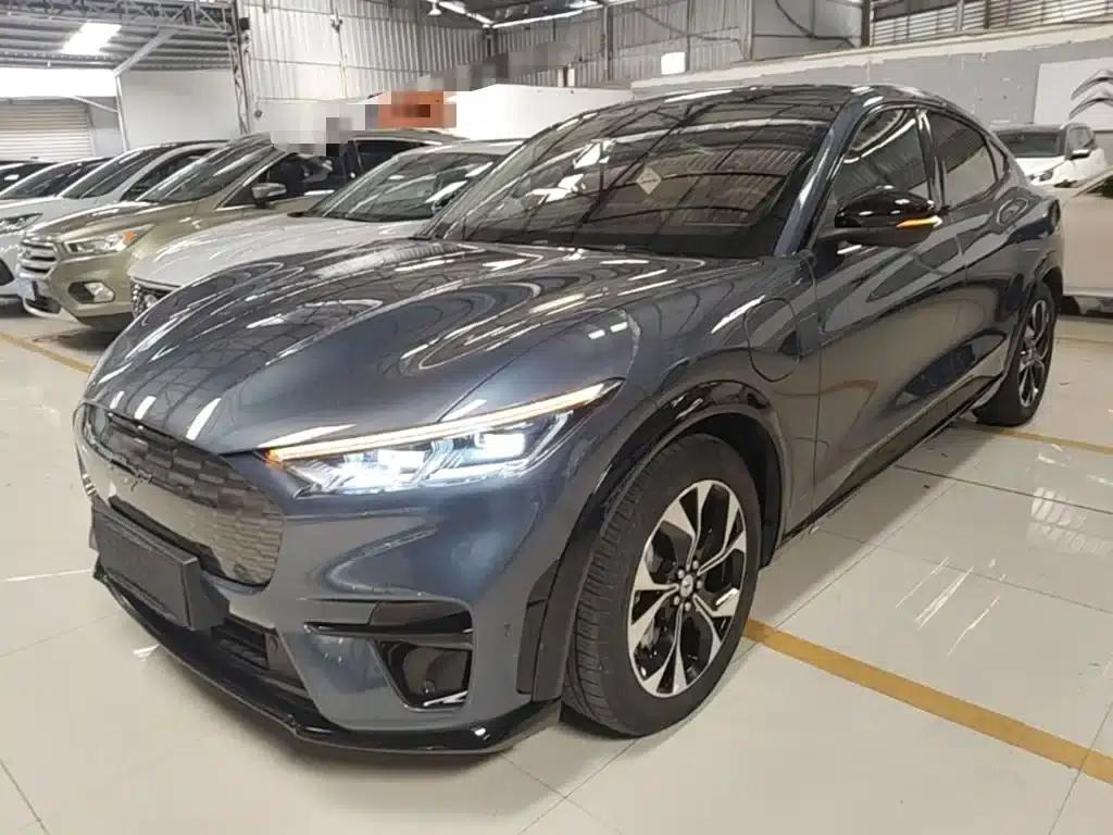 Ford eCar 2021 Model X Unlimited Rear-Wheel Drive Luxury Edition (Long Range) — миниатюра 1