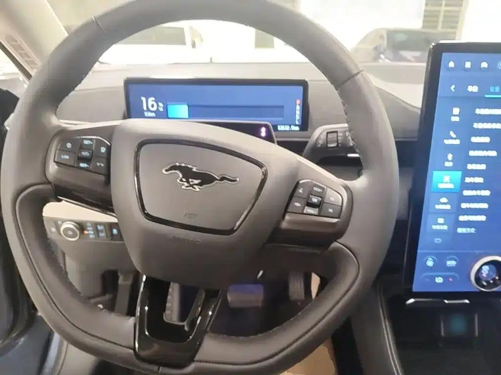 Ford eCar 2021 Model X Unlimited Rear-Wheel Drive Luxury Edition (Long Range) — миниатюра 11