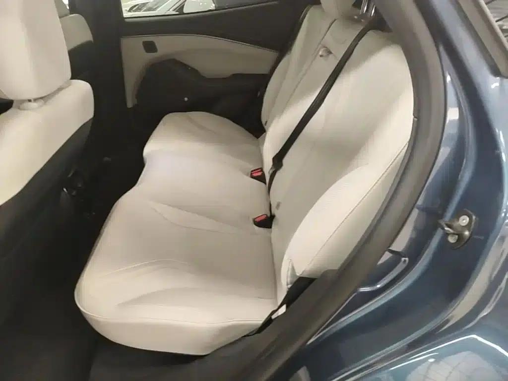 Ford eCar 2021 Model X Unlimited Rear-Wheel Drive Luxury Edition (Long Range) — миниатюра 17