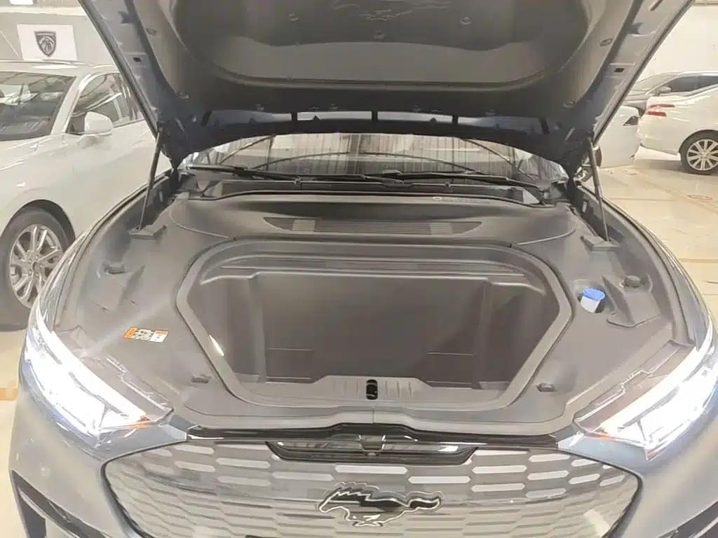 Ford eCar 2021 Model X Unlimited Rear-Wheel Drive Luxury Edition (Long Range) — миниатюра 20