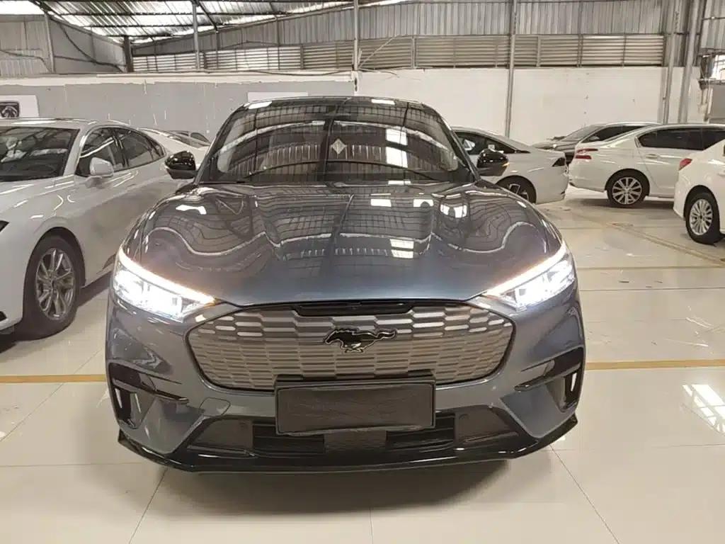 Ford eCar 2021 Model X Unlimited Rear-Wheel Drive Luxury Edition (Long Range) — миниатюра 3