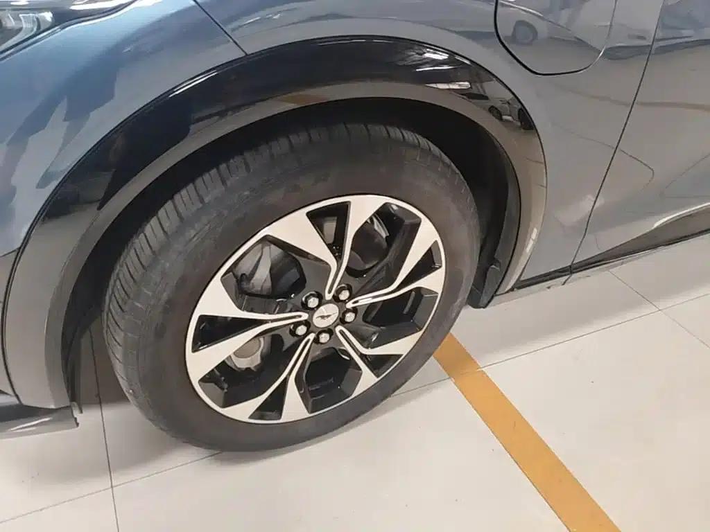 Ford eCar 2021 Model X Unlimited Rear-Wheel Drive Luxury Edition (Long Range) — миниатюра 23