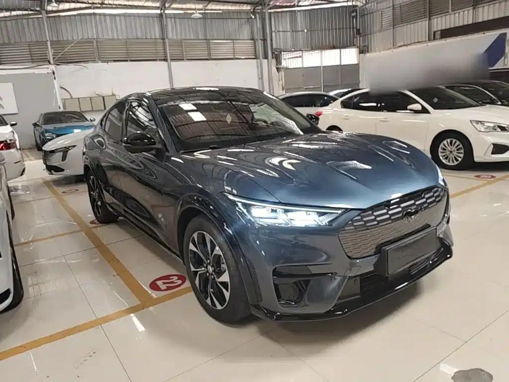 Ford eCar 2021 Model X Unlimited Rear-Wheel Drive Luxury Edition (Long Range) — миниатюра 4