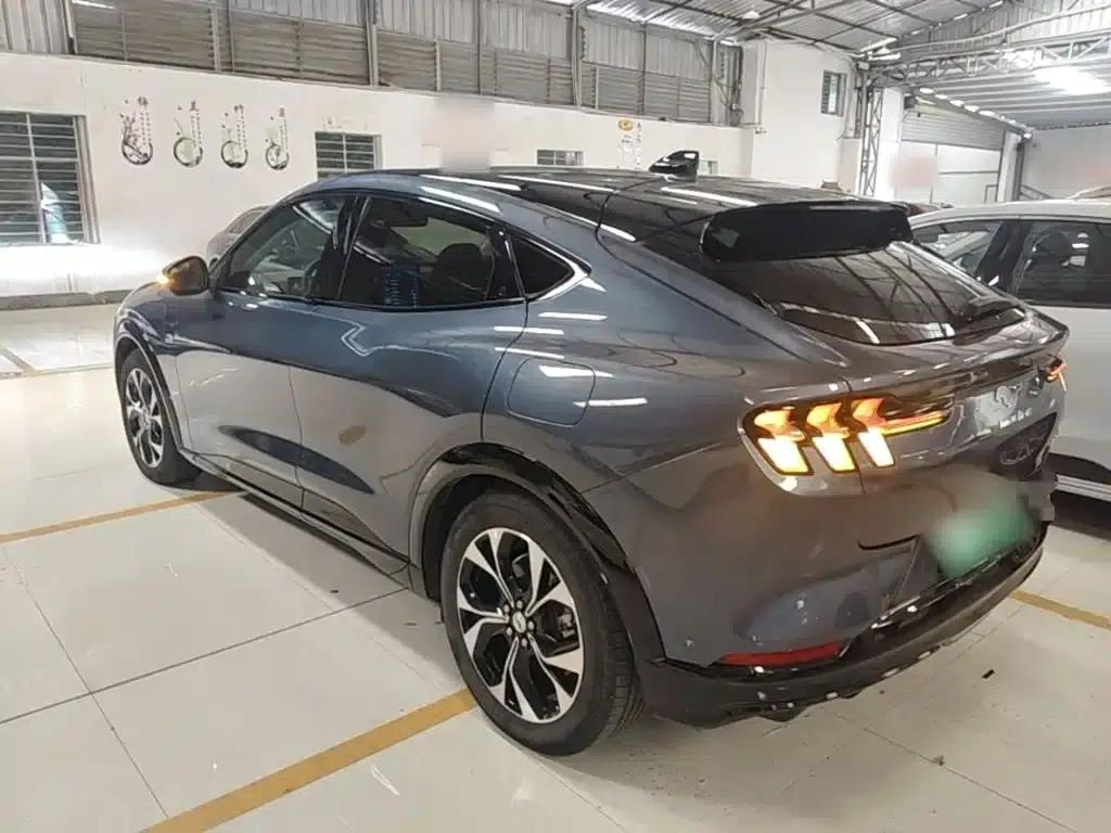 Ford eCar 2021 Model X Unlimited Rear-Wheel Drive Luxury Edition (Long Range) — миниатюра 5