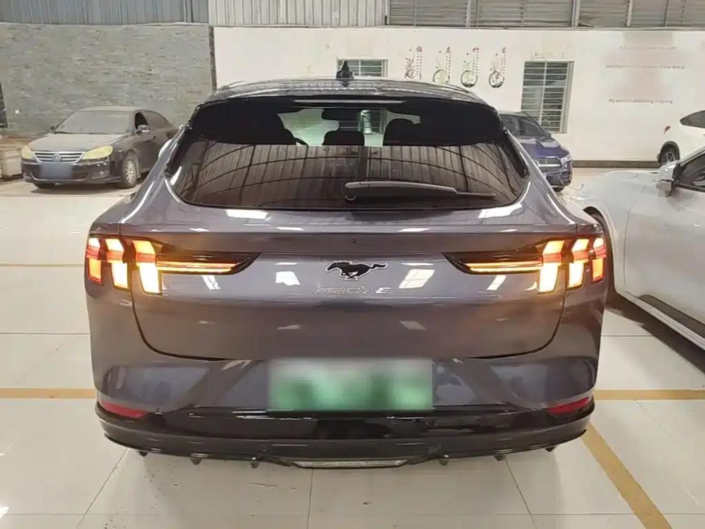 Ford eCar 2021 Model X Unlimited Rear-Wheel Drive Luxury Edition (Long Range) — миниатюра 6