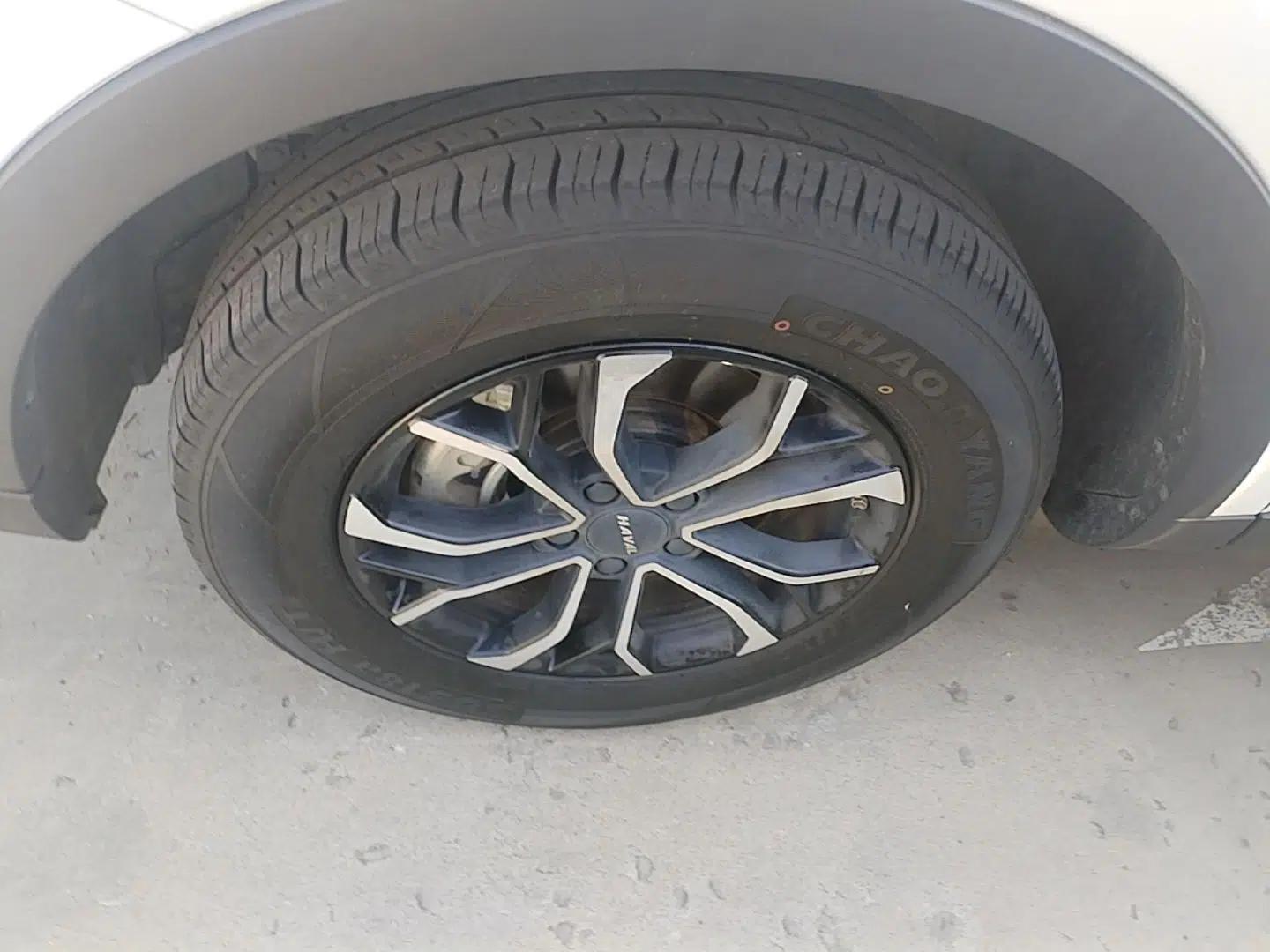 Haval H6 2023 National Trend Edition 1.5T Automatic Urban Version — миниатюра 10