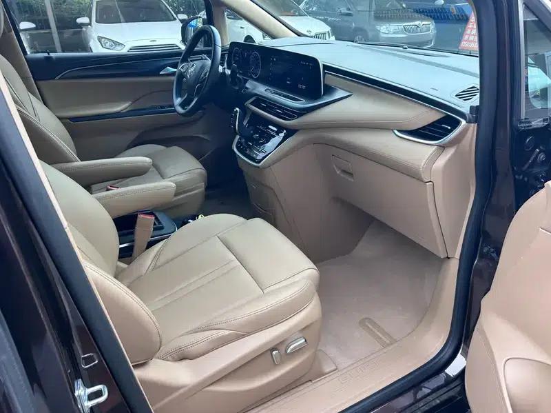 Buick GL8 2021 ES Avantgarde 653T Luxury — миниатюра 8