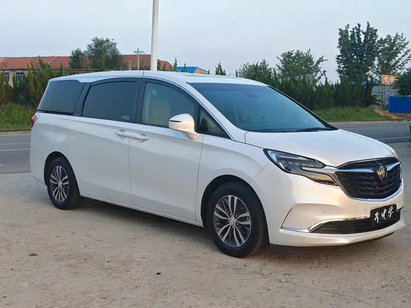 Buick GL8 2021 ES Avantgarde 653T Premium Edition — миниатюра 3