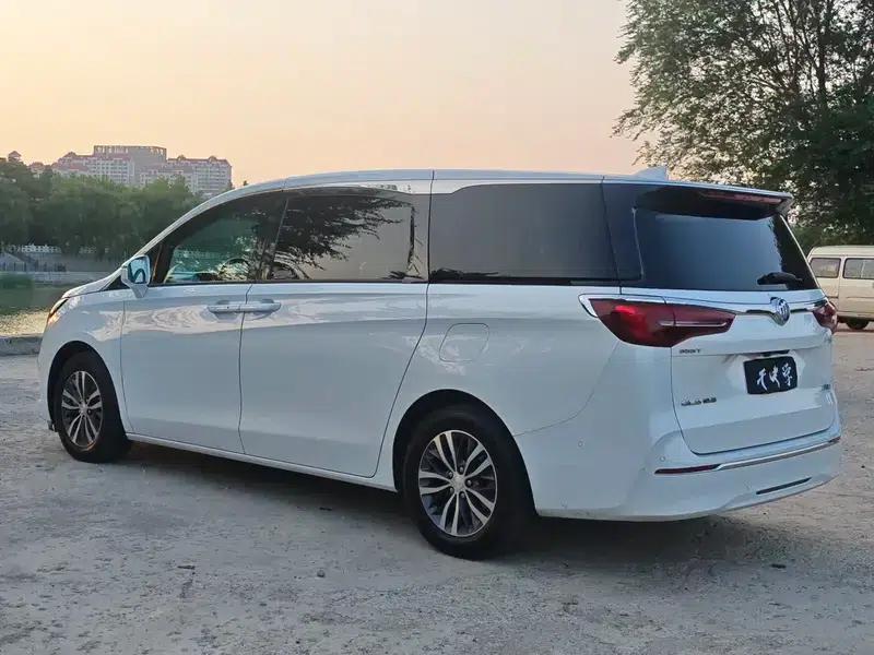 Buick GL8 2021 ES Avantgarde 653T Premium Edition — миниатюра 4