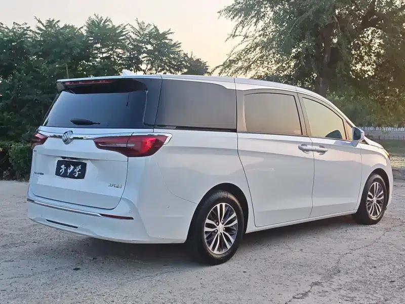 Buick GL8 2021 ES Avantgarde 653T Premium Edition — миниатюра 6