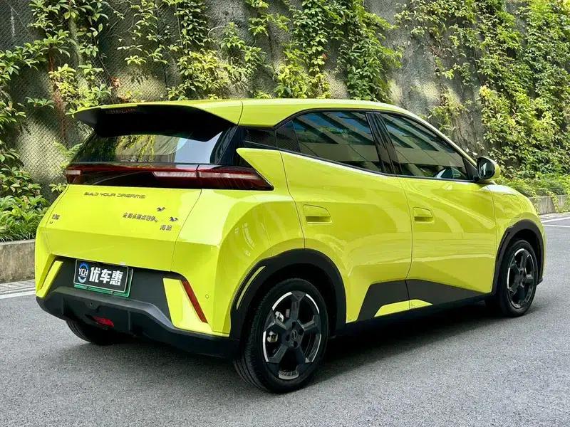 Seagull 2023 Freedom Edition — миниатюра 6