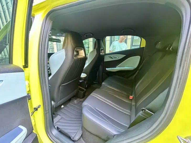 Seagull 2023 Freedom Edition — миниатюра 9