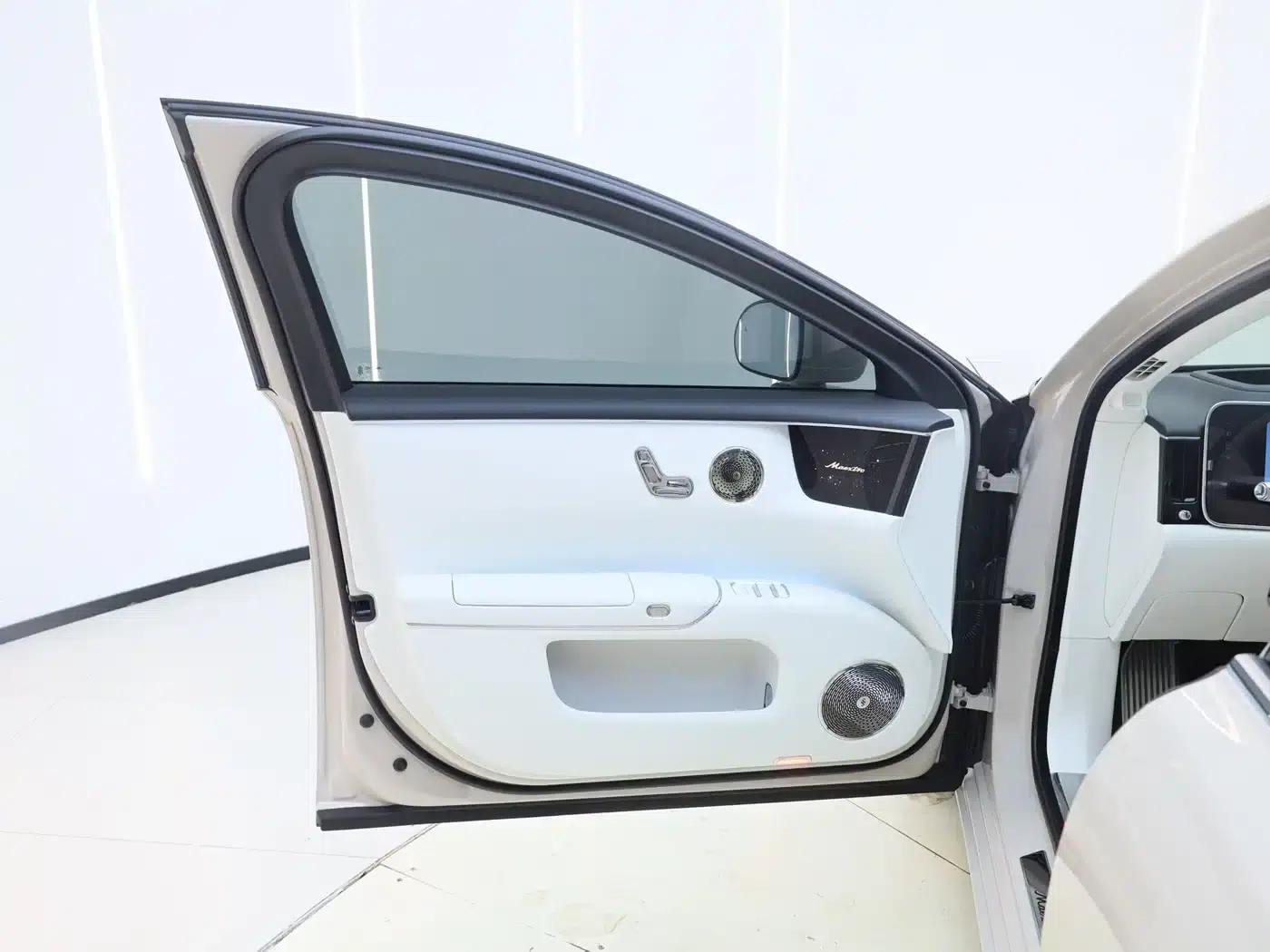 2025 S800 Premium Range Extended Star Executive Edition 4-seater (192-line LiDAR) — миниатюра 19