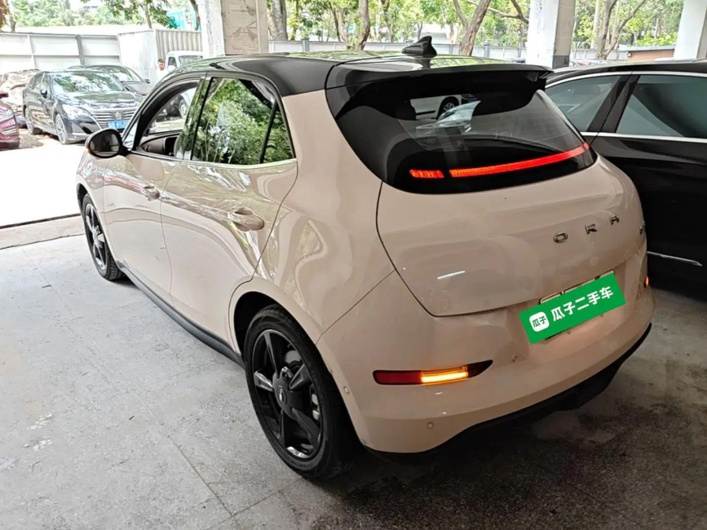 ORA Good Cat 2024 401 km Range Luxury Version 135 kW — миниатюра 4
