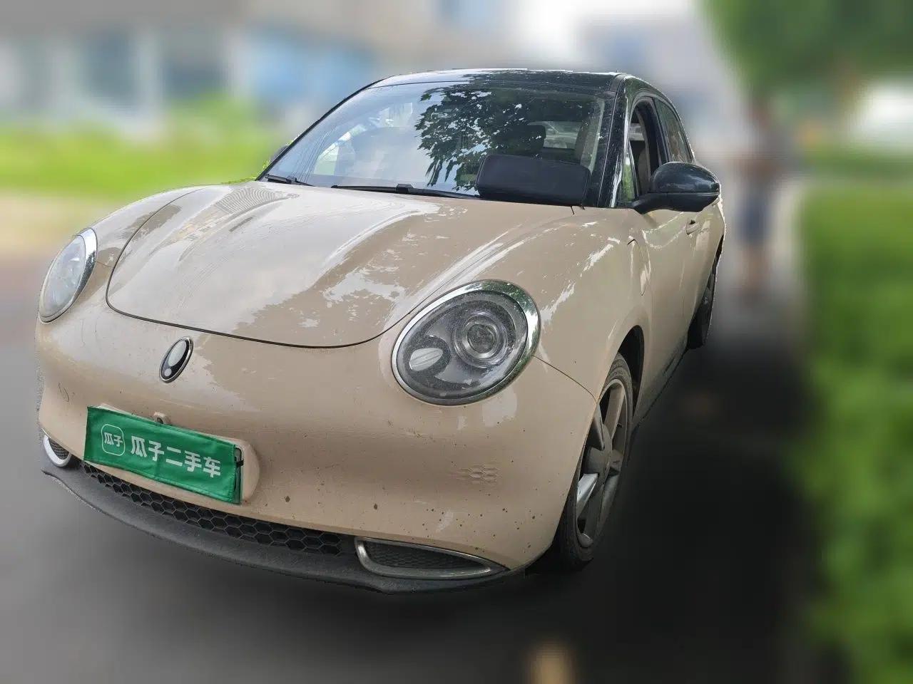 ORA Good Cat 2021 400km Standard Range Venus Edition Lithium-Ion Battery — миниатюра 1