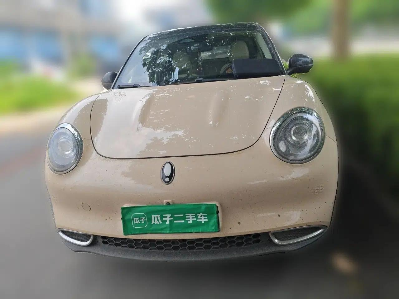ORA Good Cat 2021 400km Standard Range Venus Edition Lithium-Ion Battery — миниатюра 2