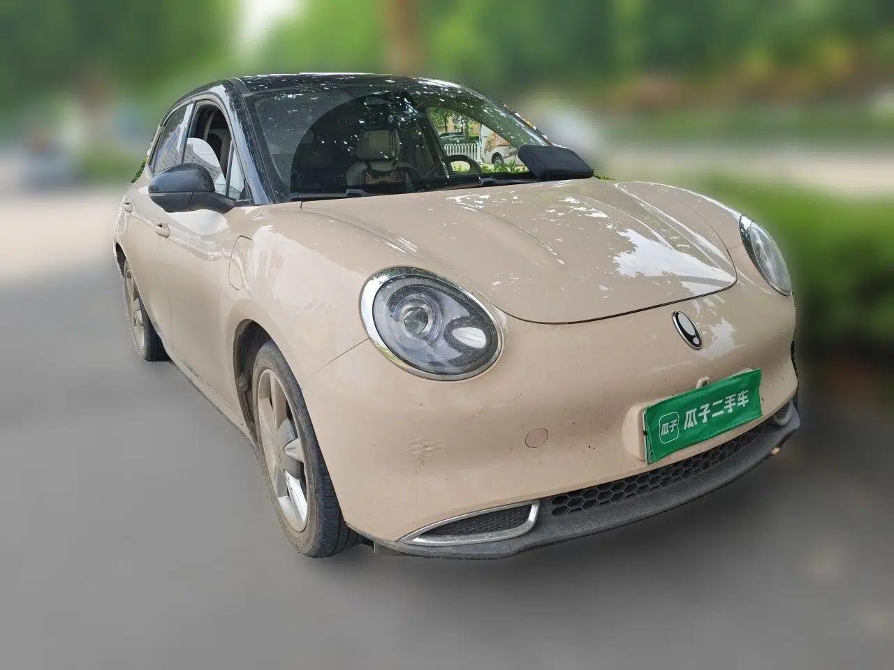 ORA Good Cat 2021 400km Standard Range Venus Edition Lithium-Ion Battery — миниатюра 3