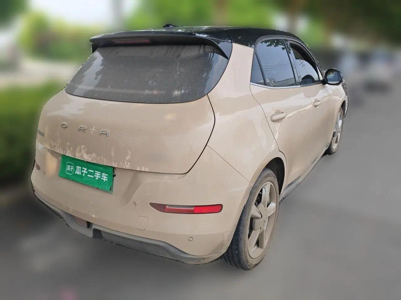ORA Good Cat 2021 400km Standard Range Venus Edition Lithium-Ion Battery — миниатюра 6