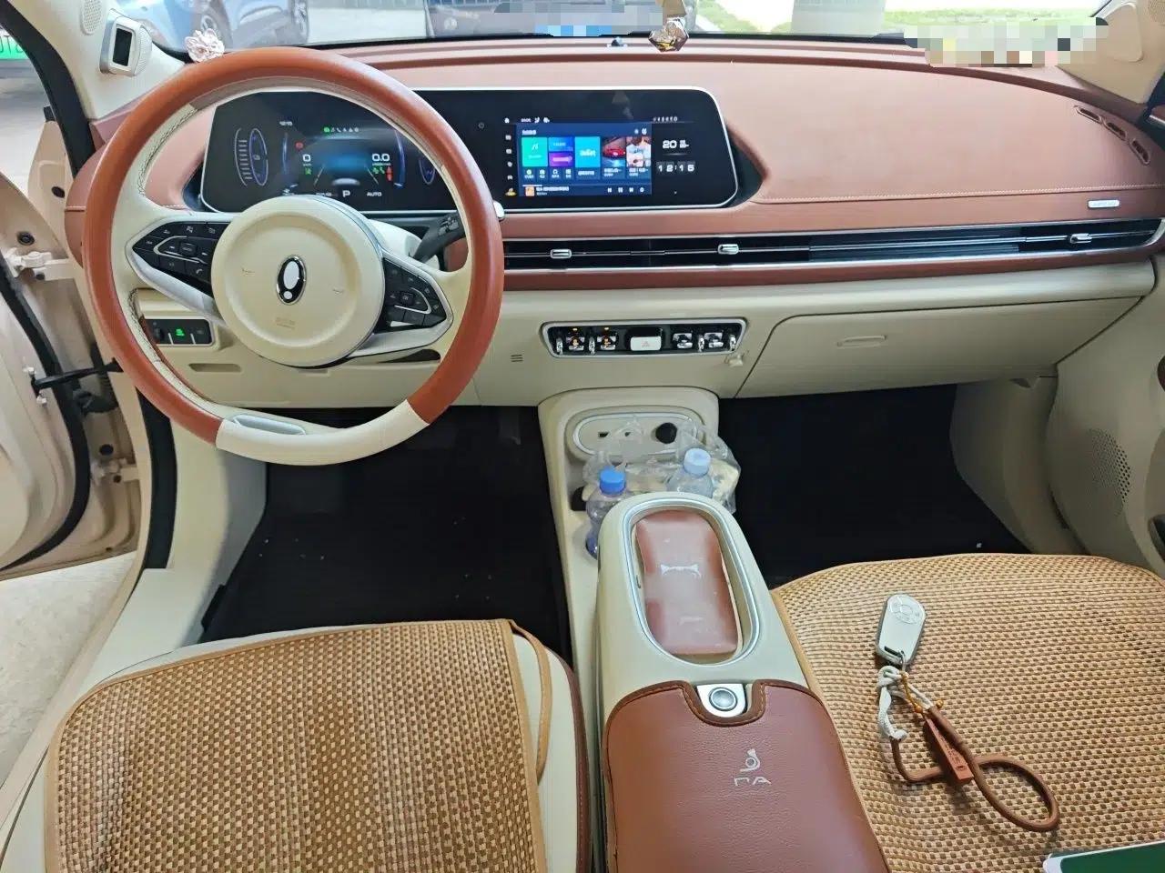ORA Good Cat 2024 401 km Range Luxury Version 135 kW — миниатюра 9