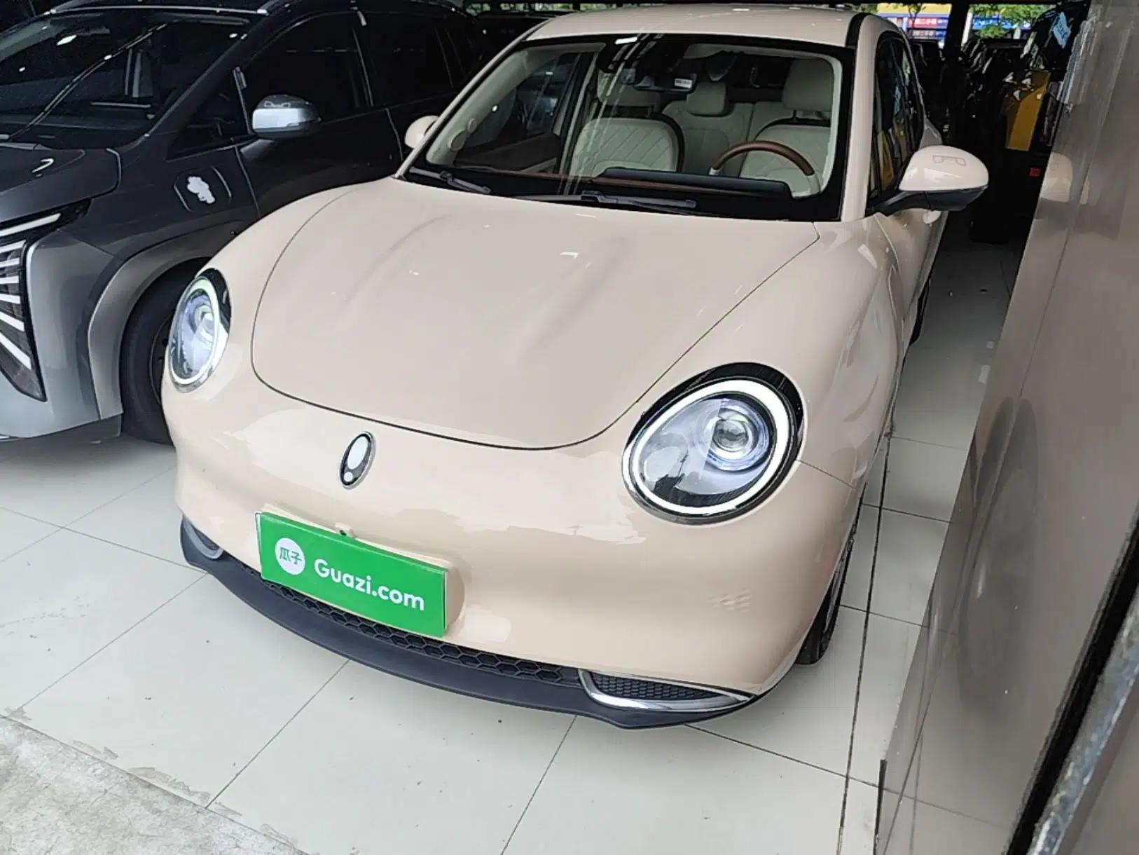 ORA Good Cat 2022 400km Standard Range Luxury Version Lithium Iron Phosphate — миниатюра 1