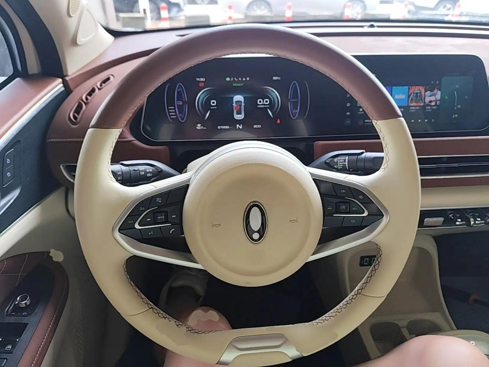 ORA Good Cat 2022 400km Standard Range Luxury Version Lithium Iron Phosphate — миниатюра 13