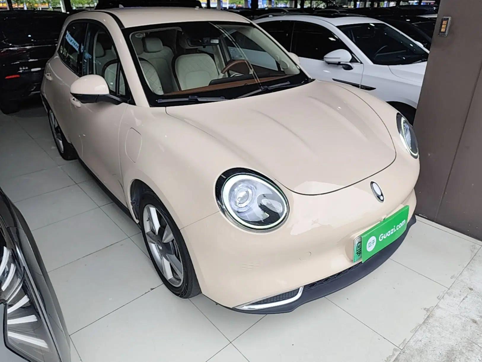 ORA Good Cat 2022 400km Standard Range Luxury Version Lithium Iron Phosphate — миниатюра 3