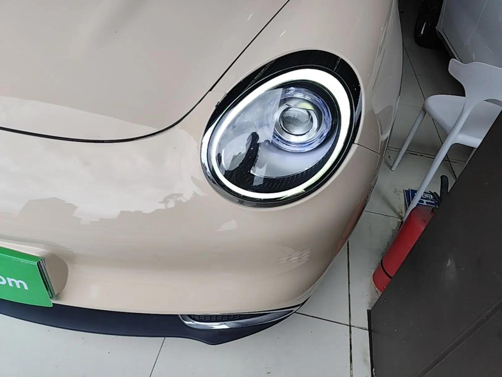 ORA Good Cat 2022 400km Standard Range Luxury Version Lithium Iron Phosphate — миниатюра 8