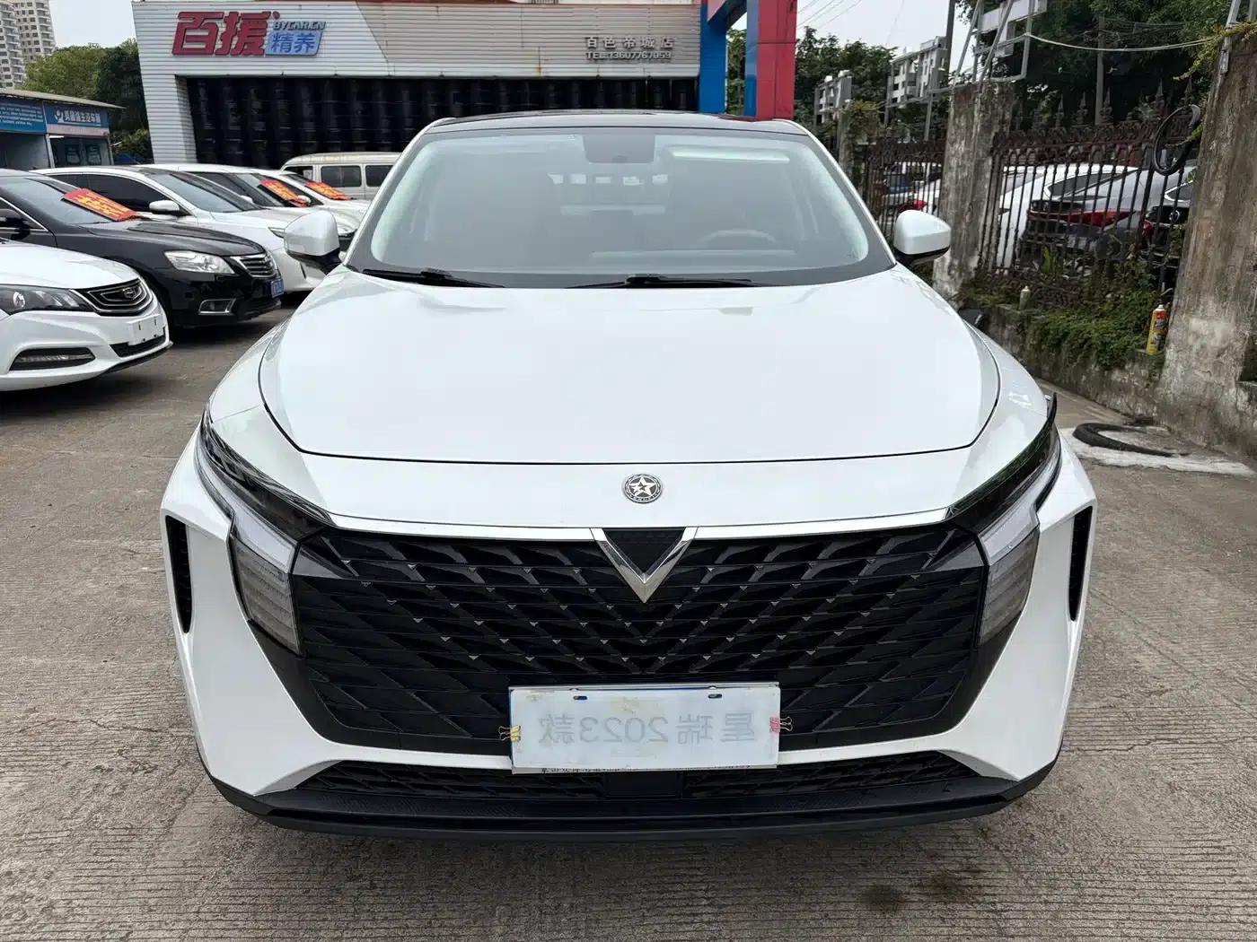 Venucia V2021 260T Idol Edition — миниатюра 2