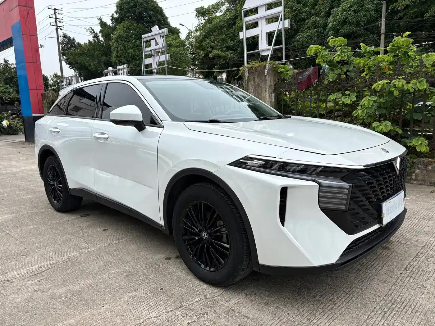 Venucia V2021 260T Idol Edition — миниатюра 3
