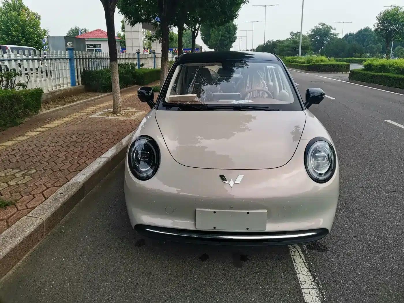 Bingo Pro 2026 330km Premium Edition — миниатюра 2