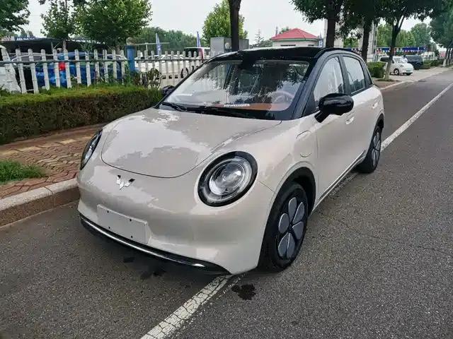 Bingo Pro 2026 330km Premium Edition