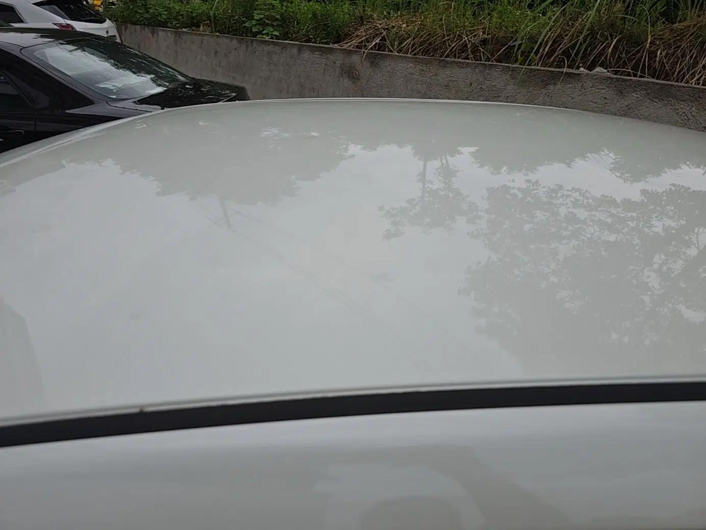 Venucia D60EV 2023 PLUS Comfort Edition RJ Model — миниатюра 7