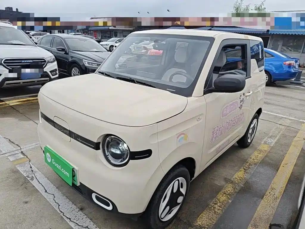 Panda 2025 Panda Mini 210km - Energetic Bear — миниатюра 2