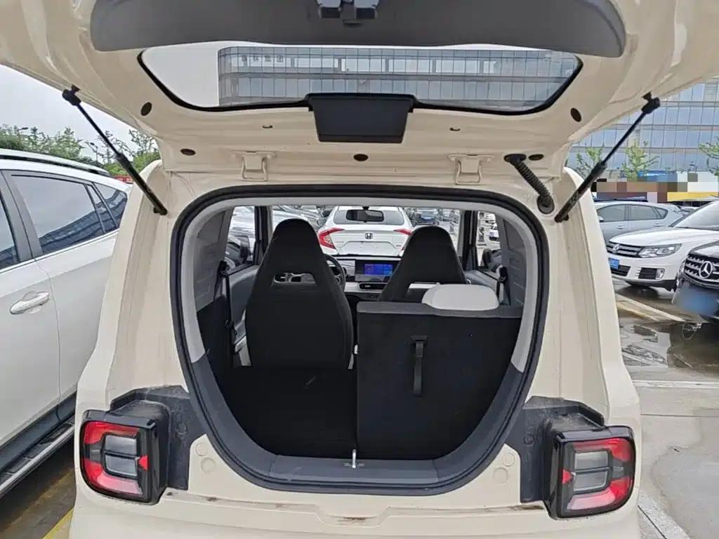 Panda 2025 Panda Mini 210km - Energetic Bear — миниатюра 19