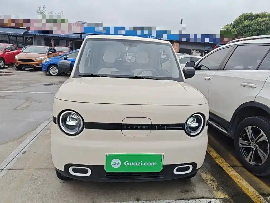 Panda 2025 Panda Mini 210km - Energetic Bear — миниатюра 3