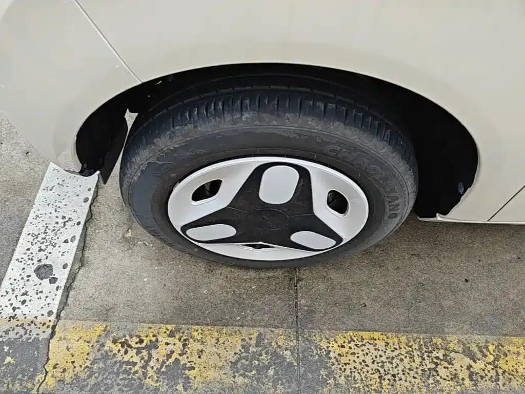 Panda 2025 Panda Mini 210km - Energetic Bear — миниатюра 23