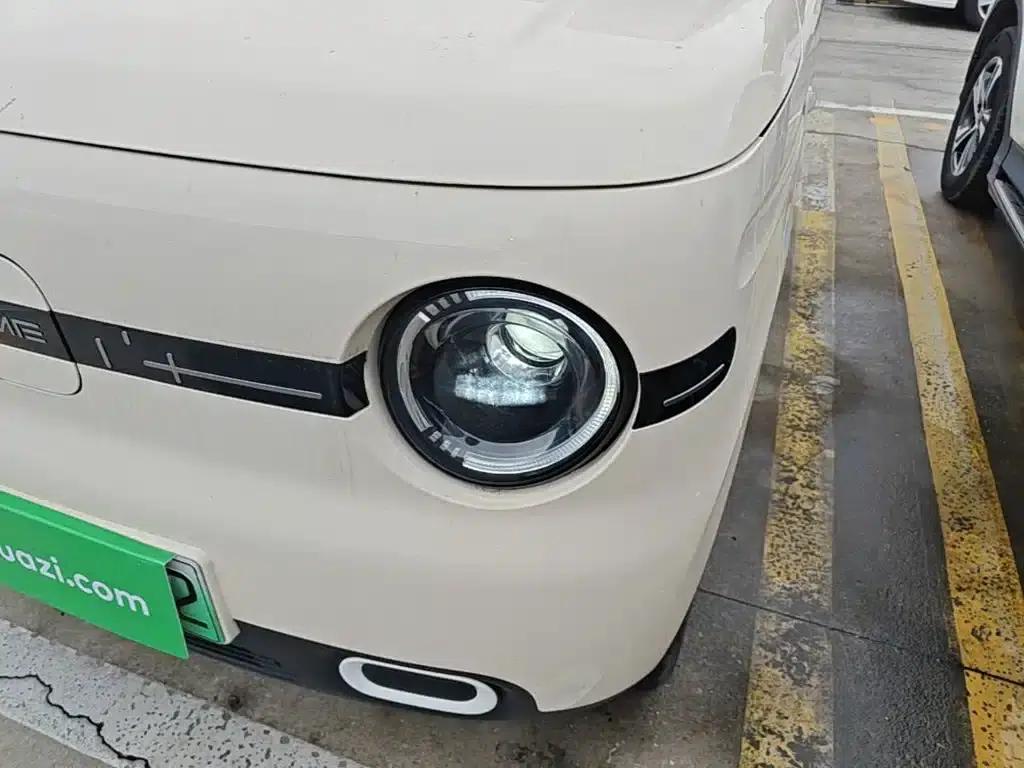 Panda 2025 Panda Mini 210km - Energetic Bear — миниатюра 24