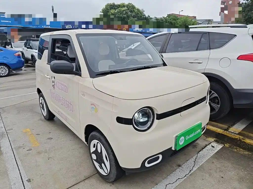 Panda 2025 Panda Mini 210km - Energetic Bear — миниатюра 4