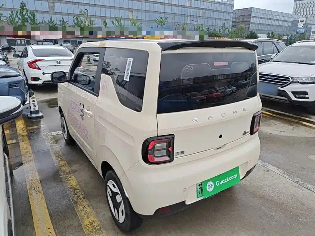Panda 2025 Panda Mini 210km - Energetic Bear — миниатюра 5