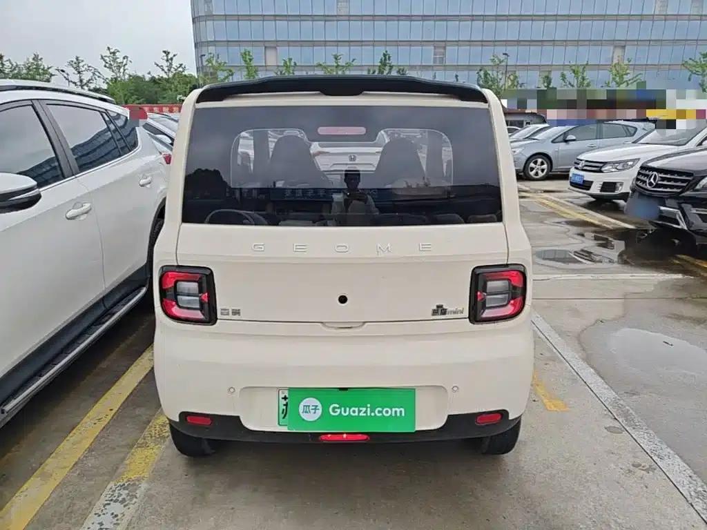 Panda 2025 Panda Mini 210km - Energetic Bear — миниатюра 6