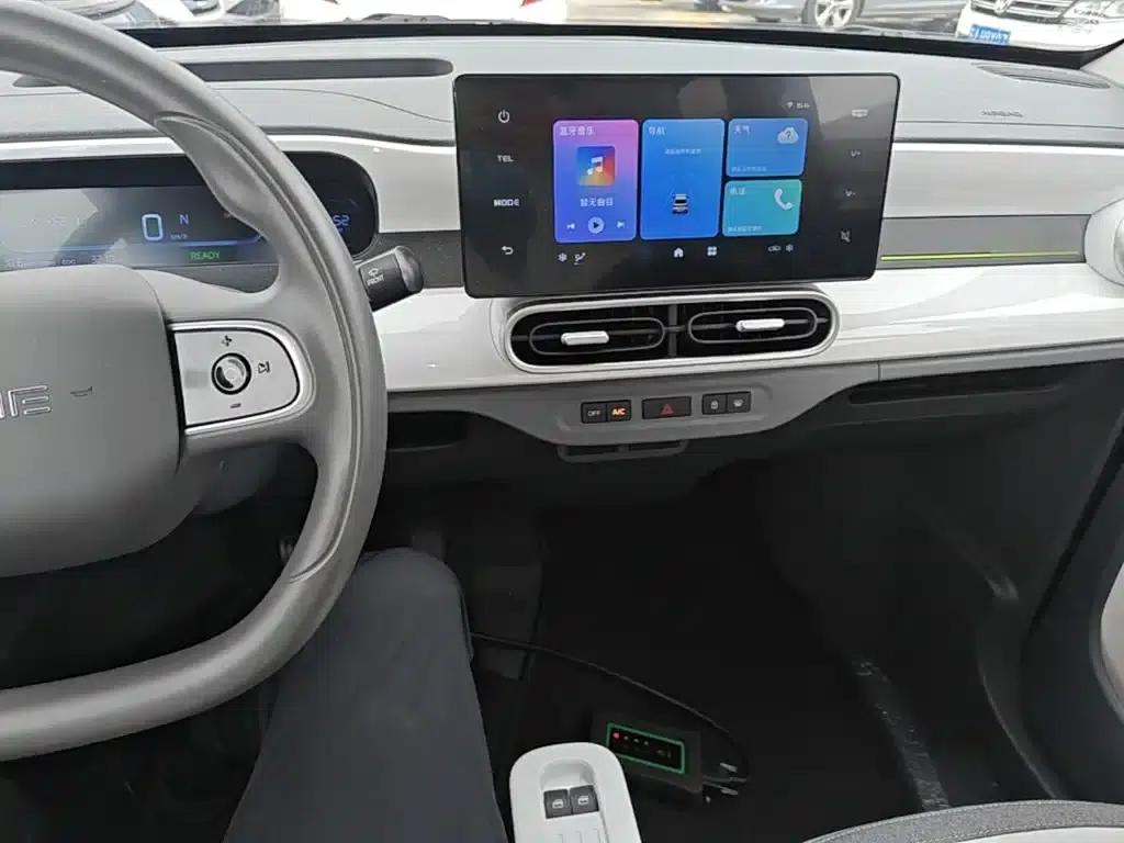 Panda 2025 Panda Mini 210km - Energetic Bear — миниатюра 10
